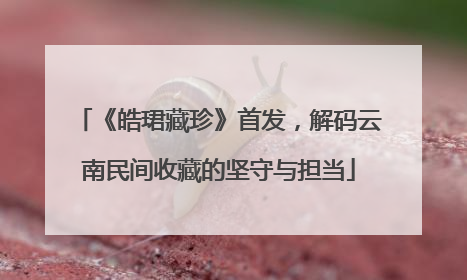 《皓珺藏珍》首发，解码云南民间收藏的坚守与担当