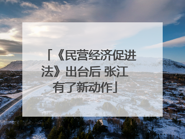 《民营经济促进法》出台后 张江有了新动作