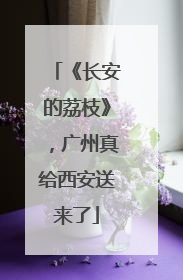 《长安的荔枝》，广州真给西安送来了