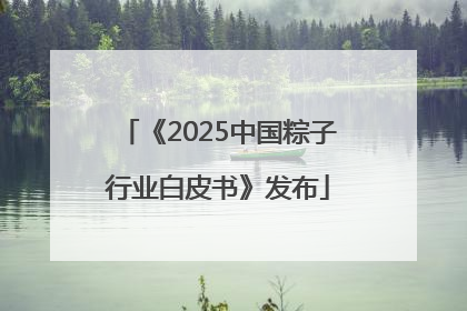 《2025中国粽子行业白皮书》发布