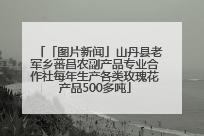 「图片新闻」山丹县老军乡蕃昌农副产品专业合作社每年生产各类玫瑰花产品500多吨