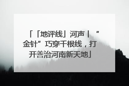 「地评线」河声丨“金针”巧穿千根线，打开善治河南新天地