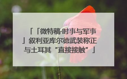 「微特稿·时事与军事」叙利亚库尔德武装称正与土耳其“直接接触”