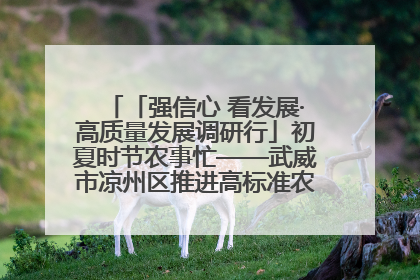 「强信心 看发展·高质量发展调研行」初夏时节农事忙——武威市凉州区推进高标准农田建设见闻