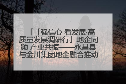 「强信心 看发展·高质量发展调研行」地企同频 产业共振——永昌县与金川集团地企融合推动重大项目建设