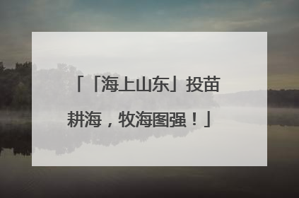 「海上山东」投苗耕海，牧海图强！