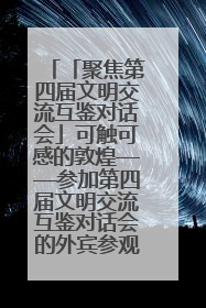 「聚焦第四届文明交流互鉴对话会」可触可感的敦煌——参加第四届文明交流互鉴对话会的外宾参观上元市集