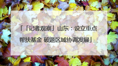 「记者观察」山东：设立重点帮扶基金 破题区域协调发展