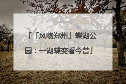 「风物郑州」蝶湖公园：一湖蝶变看今昔