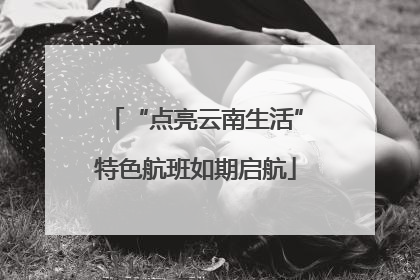 “点亮云南生活”特色航班如期启航