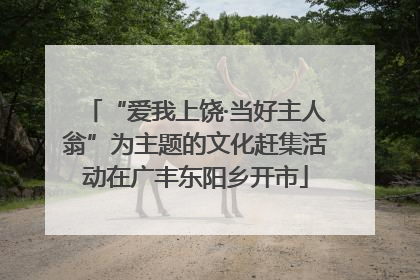 “爱我上饶·当好主人翁”为主题的文化赶集活动在广丰东阳乡开市