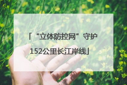 “立体防控网”守护152公里长江岸线