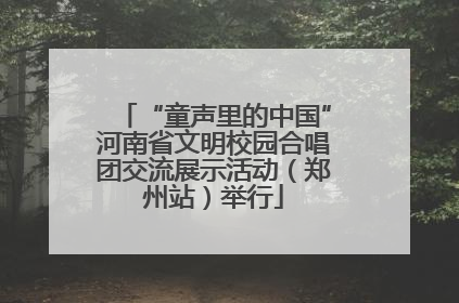 “童声里的中国”河南省文明校园合唱团交流展示活动（郑州站）举行