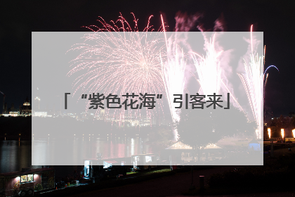 “紫色花海”引客来