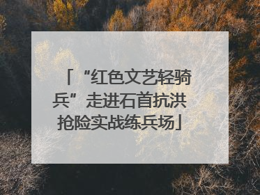 “红色文艺轻骑兵”走进石首抗洪抢险实战练兵场