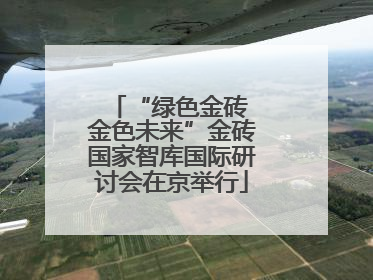 “绿色金砖 金色未来”金砖国家智库国际研讨会在京举行