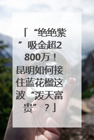 “绝绝紫”吸金超2800万！昆明如何接住蓝花楹这波“泼天富贵”？