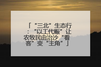 “三北”生态行：“以工代赈”让农牧民由治沙“看客”变“主角”