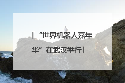 “世界机器人嘉年华”在武汉举行
