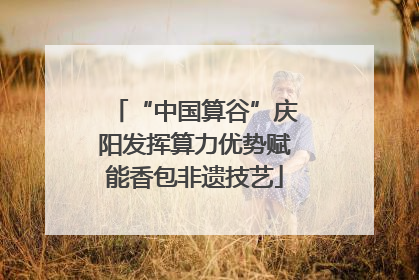 “中国算谷”庆阳发挥算力优势赋能香包非遗技艺