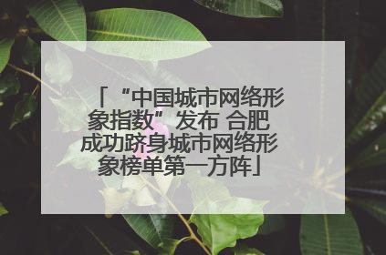 “中国城市网络形象指数”发布 合肥成功跻身城市网络形象榜单第一方阵