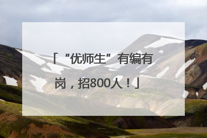 “优师生”有编有岗，招800人！
