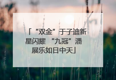 “双金”于子迪新星闪耀 “九冠”潘展乐如日中天