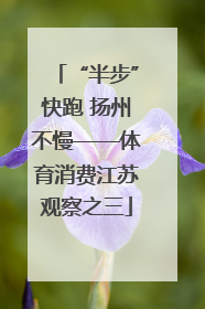 “半步”快跑 扬州不慢——体育消费江苏观察之三