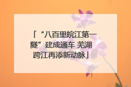 “八百里皖江第一隧”建成通车 芜湖跨江再添新动脉