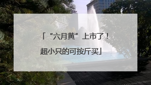 “六月黄”上市了！超小只的可按斤买