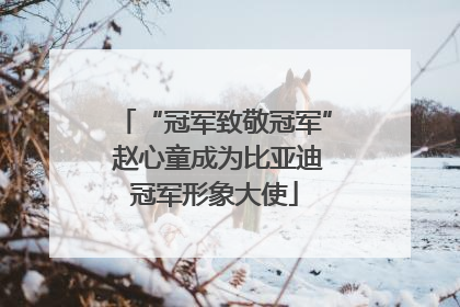 “冠军致敬冠军” 赵心童成为比亚迪冠军形象大使