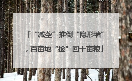 “减垄”推倒“隐形墙”，百亩地“捡”回十亩粮
