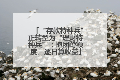 “存款特种兵”正转型为“理财特种兵”：抱团蹲额度、逐日算收益