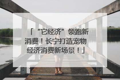 “它经济”领跑新消费！长宁打造宠物经济消费新场景！