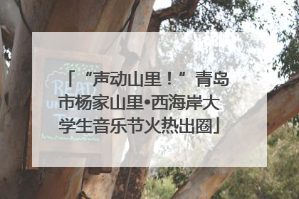 “声动山里！”青岛市杨家山里•西海岸大学生音乐节火热出圈