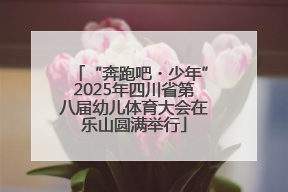“奔跑吧・少年”2025年四川省第八届幼儿体育大会在乐山圆满举行