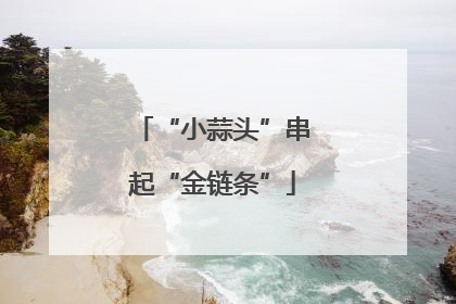 “小蒜头”串起“金链条”