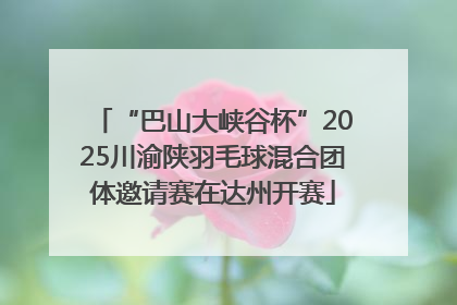 “巴山大峡谷杯”2025川渝陕羽毛球混合团体邀请赛在达州开赛