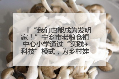 “我们也能成为发明家！”宁乡市老粮仓镇中心小学通过“实践+科技”模式，为乡村娃探索教育新路径