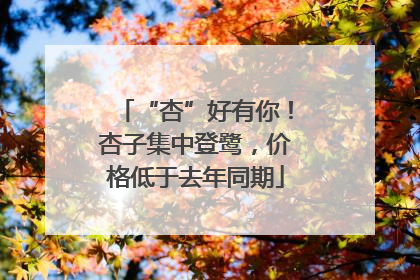 “杏”好有你！杏子集中登鹭，价格低于去年同期