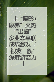 “摄影+康养”火热“出圈” 多业态串联成线激发“银发一族”深度游潜力