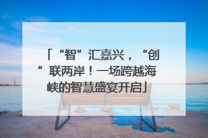 “智”汇嘉兴，“创”联两岸！一场跨越海峡的智慧盛宴开启
