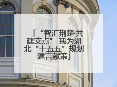 “智汇荆楚·共建支点” 我为湖北“十五五”规划建言献策