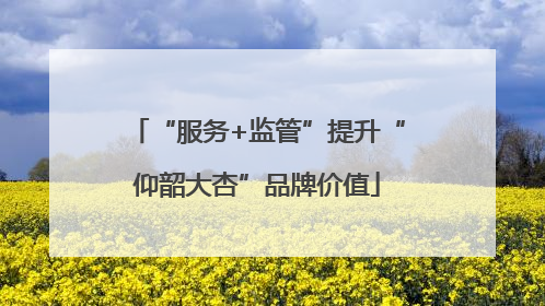 “服务+监管”提升“仰韶大杏”品牌价值