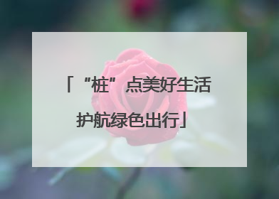 “桩”点美好生活 护航绿色出行