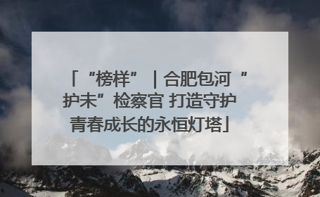 “榜样”｜合肥包河“护未”检察官 打造守护青春成长的永恒灯塔