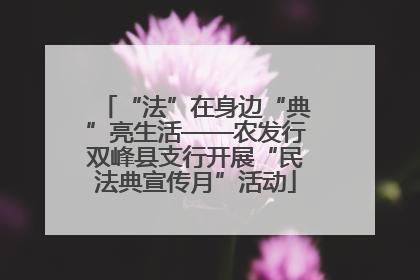 “法”在身边“典”亮生活——农发行双峰县支行开展“民法典宣传月”活动