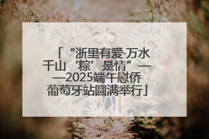 “浙里有爱·万水千山‘粽’是情”——2025端午慰侨葡萄牙站圆满举行
