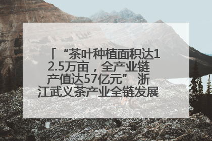 “茶叶种植面积达12.5万亩，全产业链产值达57亿元” 浙江武义茶产业全链发展“加速度”