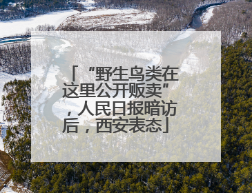 “野生鸟类在这里公开贩卖”，人民日报暗访后，西安表态